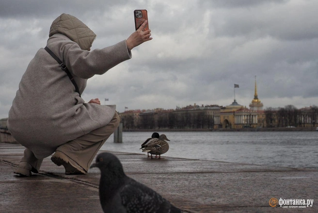 Аномальные холода. Подробный прогноз погоды в Петербурге на ближайшие дни | Источник: Михаил Огнев / «Фонтанка.ру»
