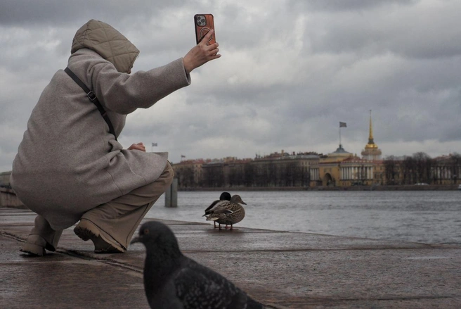 Синоптик рассказал о погоде в первое воскресенье мая в Петербурге | Источник: Михаил Огнев / «Фонтанка.ру»