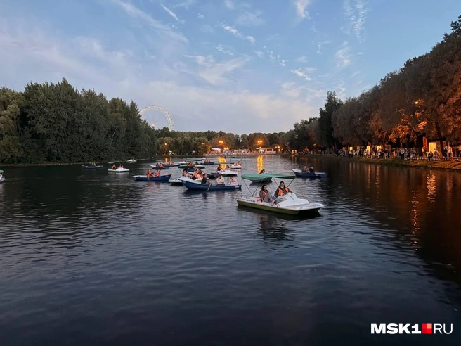 Некоторые наблюдали с катамаранов | Источник: Валерия Животовская / MSK1.RU