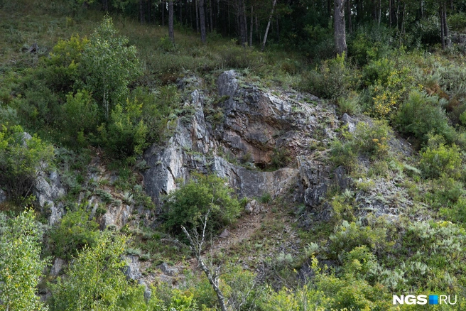 Вход в пещеру прячется в сером скальнике Барсуковской сопки, и хотя к нему ведут протоптанные тропинки, глаз легко скользнет мимо черного провала: сначала трудно даже вообразить, что в небольшое отверстие пролезет взрослый человек | Источник: Андрей Бортко / NGS.ru