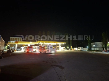 Источник: Алёна Воропаева / Voronezh1.ru