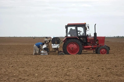 В Астраханской области открыто почти 500 вакансий в сельском хозяйстве