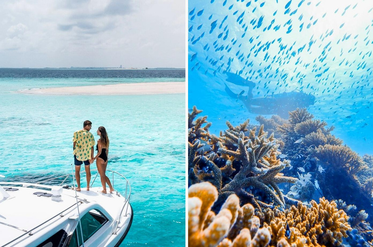 Усыновить коралловый риф и еще 5 причин посетить Мальдивы этой зимой