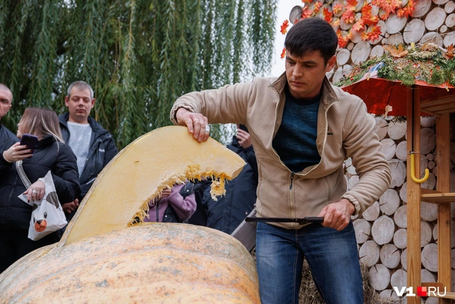 Нарезка второй тыквы давалась бахчеводу уже совсем не просто | Источник: Алексей Волхонский / V1.RU