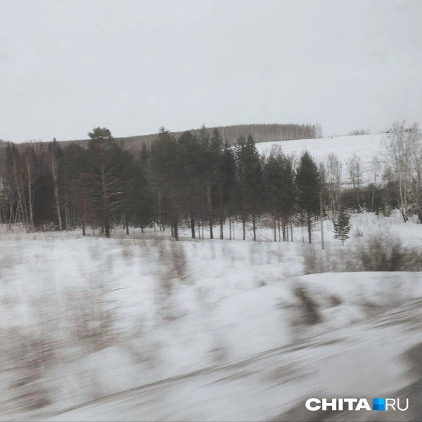 Источник: Сергей Бумагин / CHITA.RU
