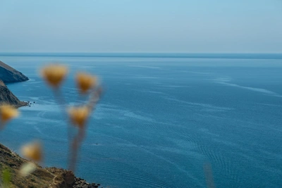 Туристка разочаровалась отдыхом в Крыму из-за проблем