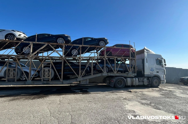 Организаторы сбежали за границу | Источник: Елена Буйвол / VLADIVOSTOK1.RU