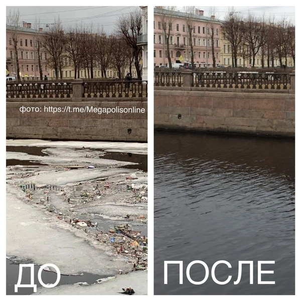 Источник: комитет по природопользованию Петербурга