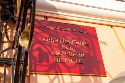 В Приамурье организацию наказали за незаконный карьер в лесу