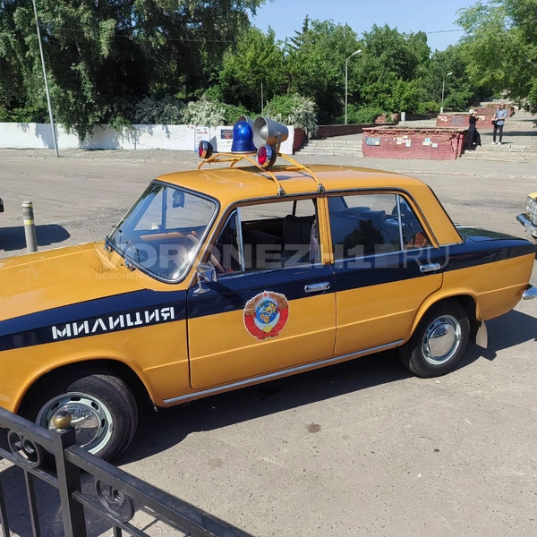 Источник: Андрей Пашинский / Voronezh1.ru