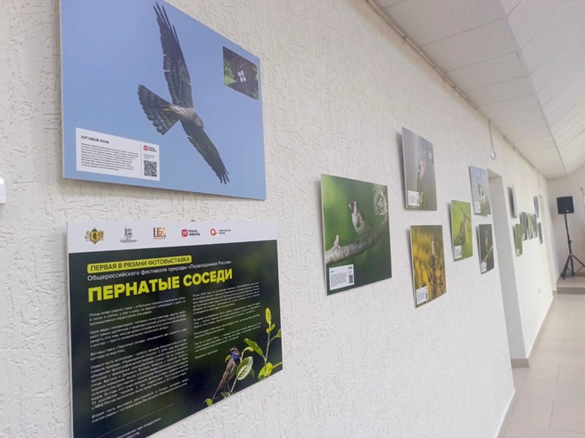 Открытие приурочено к 131-летию со дня рождения Сергея Есенина | Источник: Пресс-служба администрации города Рязани