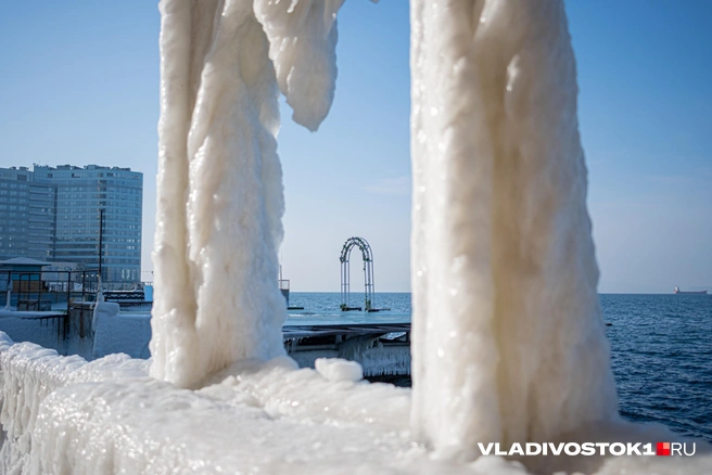 Источник: Елена Буйвол / VLADIVOSTOK1.RU