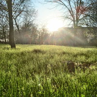 Аватарка Vitam