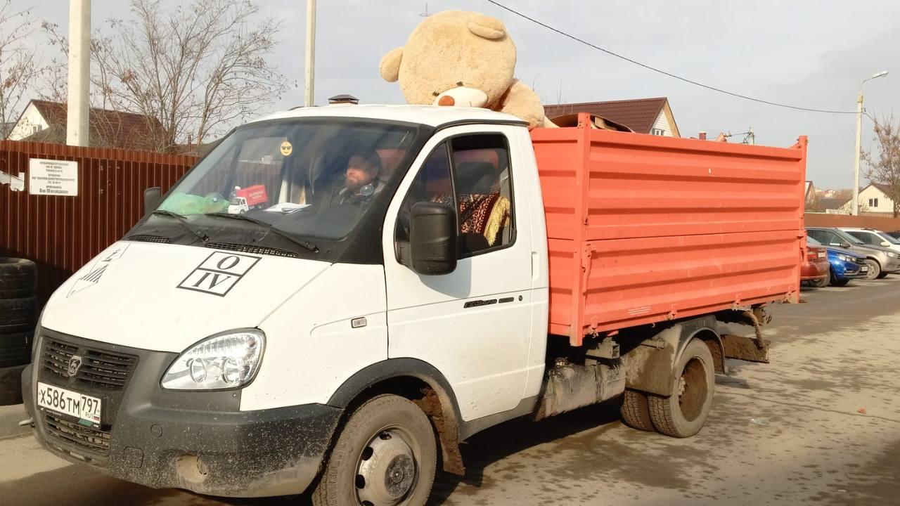 «Ненужный подарок на Новый год?» В Волгограде после новогодних праздников массово выкидывают на свалку плюшевых медведей