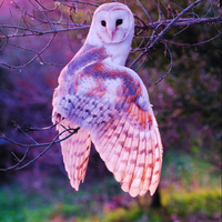 Аватарка Mojito