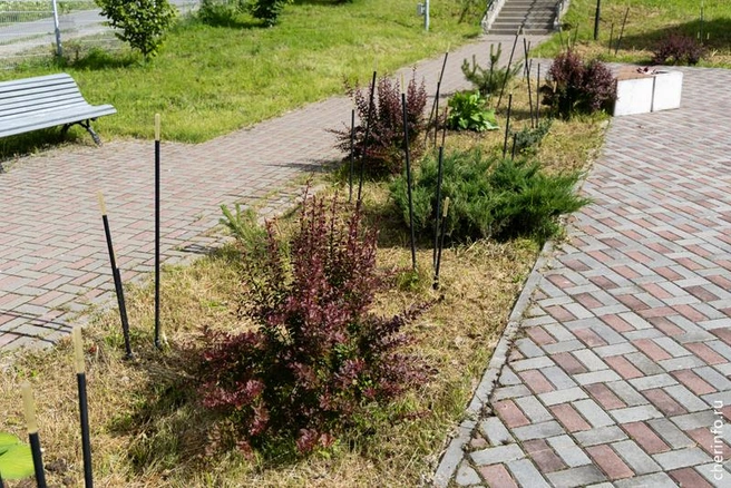 Источник: st.cherinfo.ru