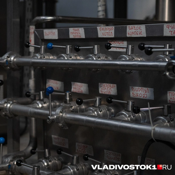 Источник: Елена Буйвол / VLADIVOSTOK1.RU