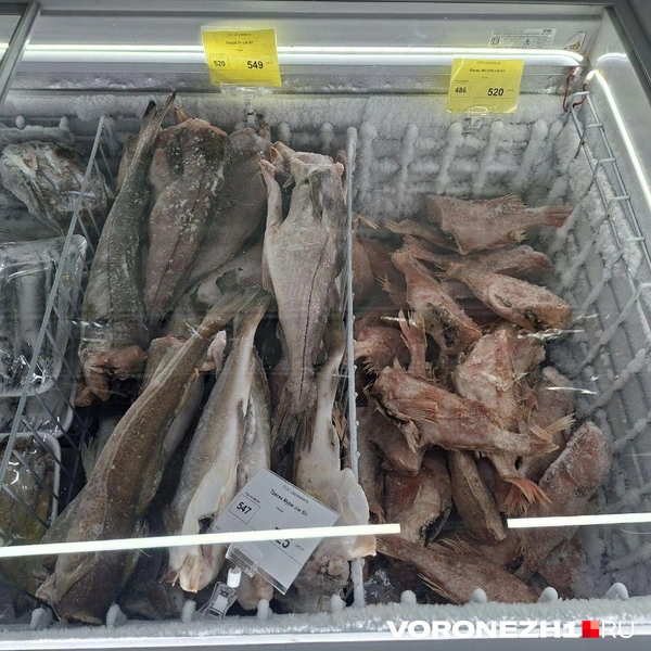 Источник: Алёна Воропаева / Voronezh1.ru