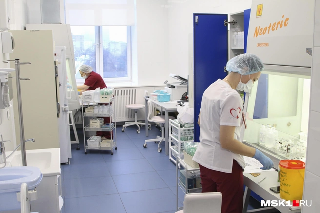 Мы вынуждены соседствовать и бороться с вирусами, и пока окончательно победить их невозможно | Источник: Татьяна Спиридонова / MSK1.RU