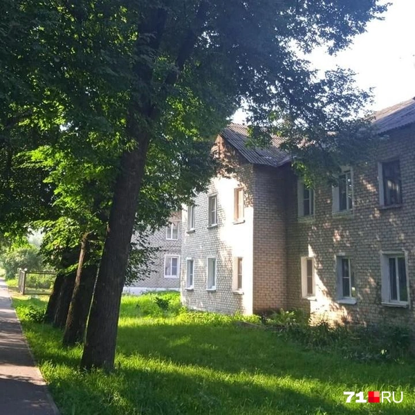 Деревья полностью закрывают солнечный свет для нескольких квартир | Источник: Личный архив И.Лебедевой