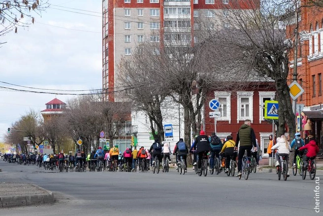 Источник: st.cherinfo.ru