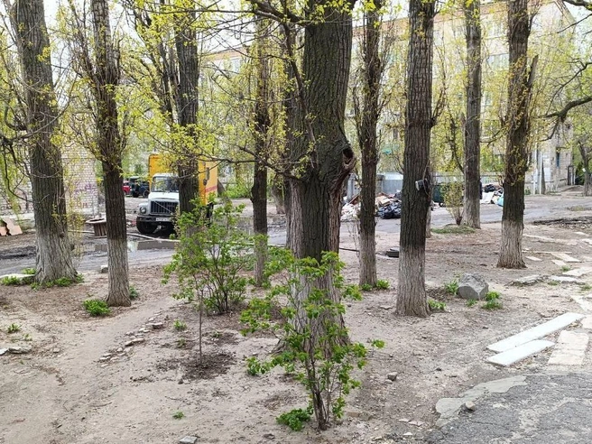 Горожане уверяют — вода уже максимально пропитала почву во дворе | Источник: читатели V1.RU