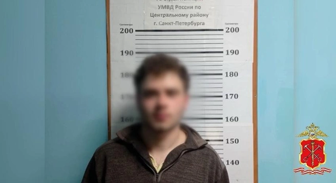 Молодой водитель-экспедитор задержан в качестве подозреваемого после поножовщины на Суворовском проспекте | Источник: ГУ МВД России по г. Санкт-Петербургу и Ленинградской области