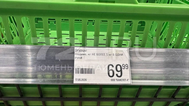 огурцы продают?  | Источник: читатель 72.RU