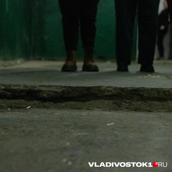 Источник: Елена Буйвол / VLADIVOSTOK1.RU