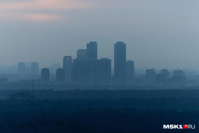 На неделе будет тепло и дождливо | Источник: Артем Устюжанин / MSK1.RU
