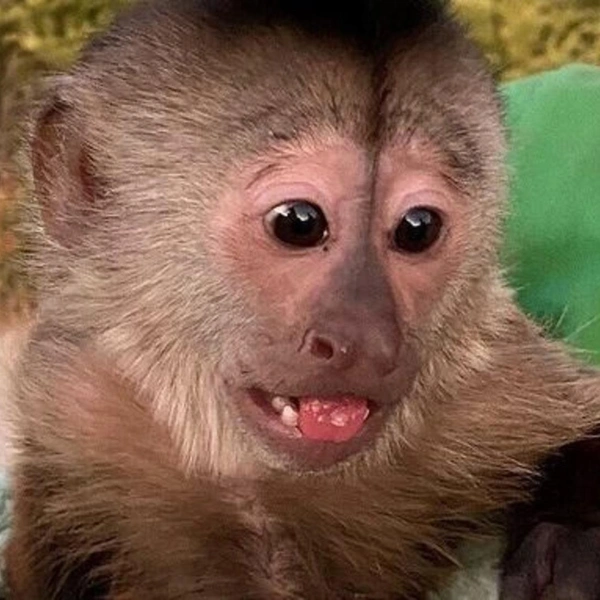 Источник: Соцсети