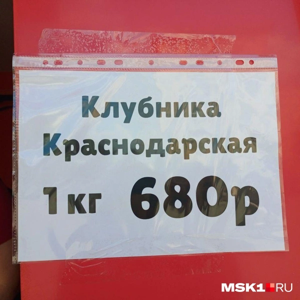 Источник: Полина Громова / MSK1.RU