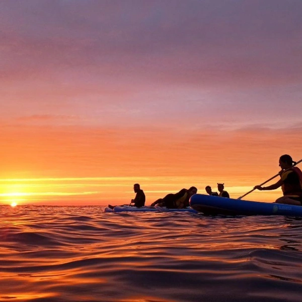 K&#246;nig Surf Club