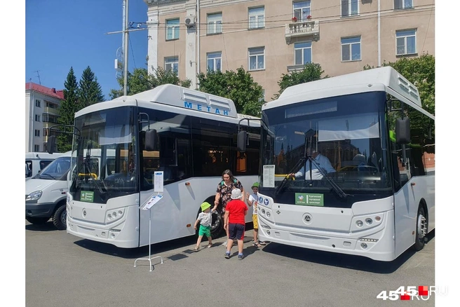 Новые автобусы в Кургане закупают несколько лет | Источник: Юлия Король