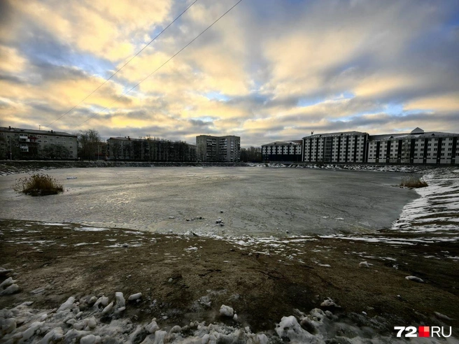 Карьер благоустроили только в этом году. Скосили растительность, убрали деревья, почистили берег, несколько качелей тоже поставили | Источник: Павел Красоткин / 72.RU