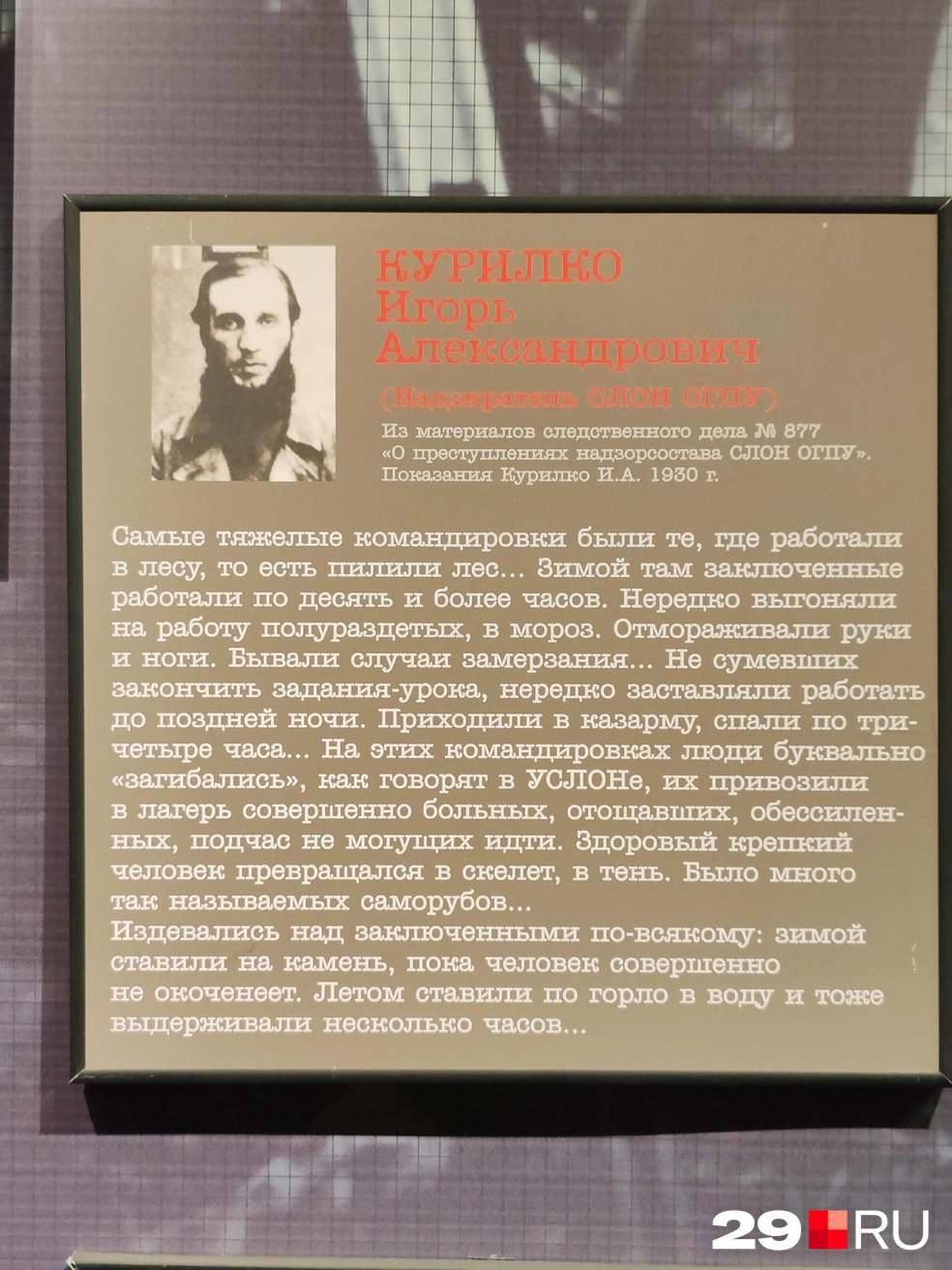 Очевидцы успели рассказать про издевательства | Источник: Елена Ионайтис / 29.RU