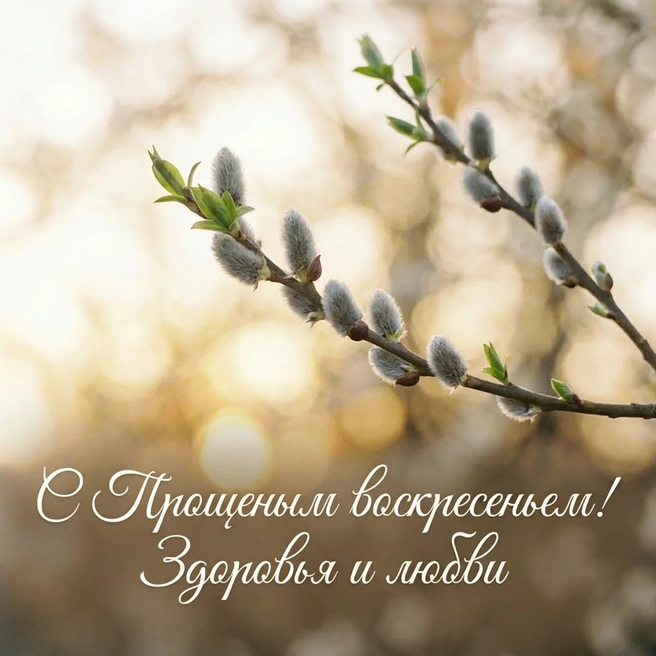 Источник: Городские медиа