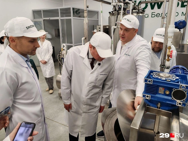 Источник: Елена Ионайтис / 29.RU