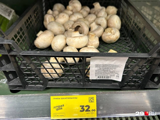 Источник: Кристина Полевая / 29.RU