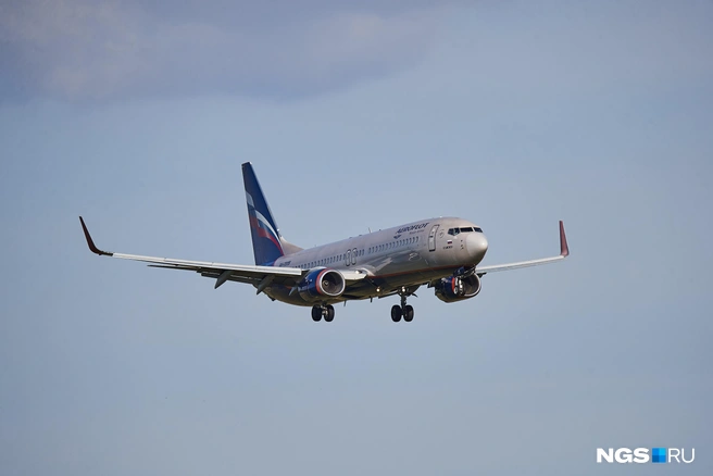 Предложение урегулировать овербукинг звучат на протяжении последних десяти лет, но ни одно пока не применили на практике | Источник: Александр Ощепков / NGS.RU