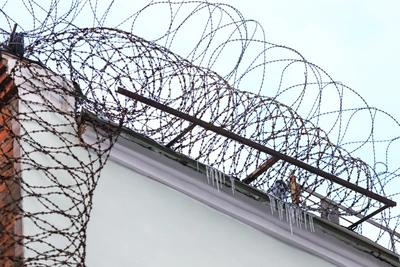 Путин освободил из колонии многодетную жительницу Дона