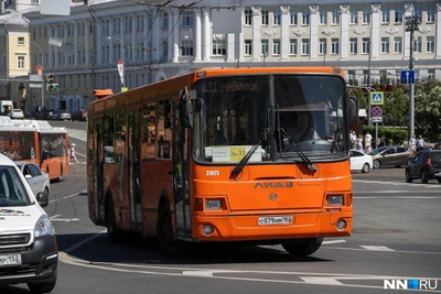 Популярные нижегородские маршруты №31 и Э-31 не переименуют