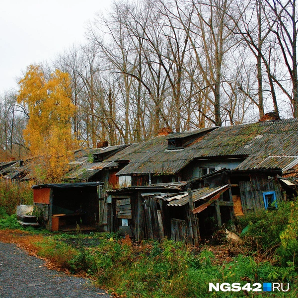 Источник: Татьяна Ирискина / NGS42.RU