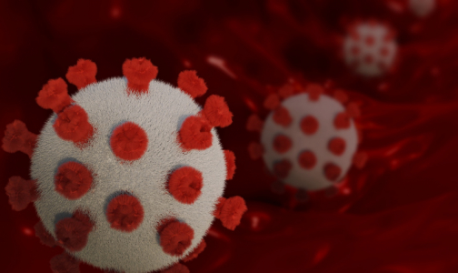 Голикова: Показатель смертности из-за коронавируса серьезно вырастет в мае