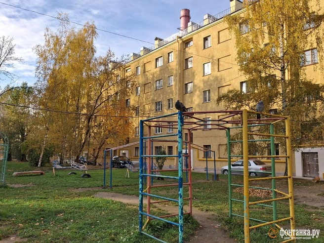 Источник: Анна Мотовилова / «Фонтанка.ру»