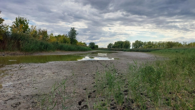 Большой водоем превратился в уши | Источник: Вадим Чугунов