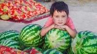 Арбузные регионы в России и СНГ: чем они отличаются и где вкуснее