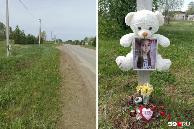 На этой дороге автомобиль сбил Дашу, там же, у ЛЭП организовали мемориал | Источник: Динара Найданова