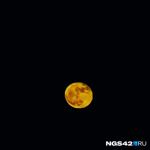 Источник: NGS42.RU 