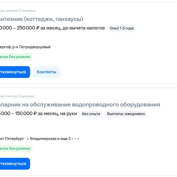Источник: скриншот сайта по поиску работы